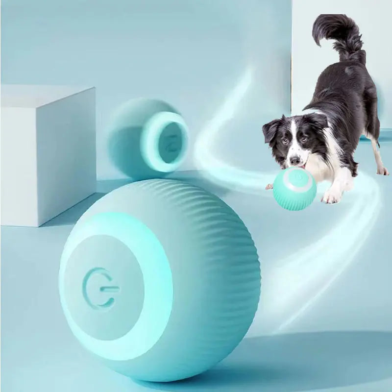 Jouets électriques intelligents pour chiens