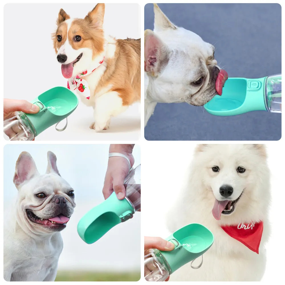 Bouteille d'eau portative pour chien