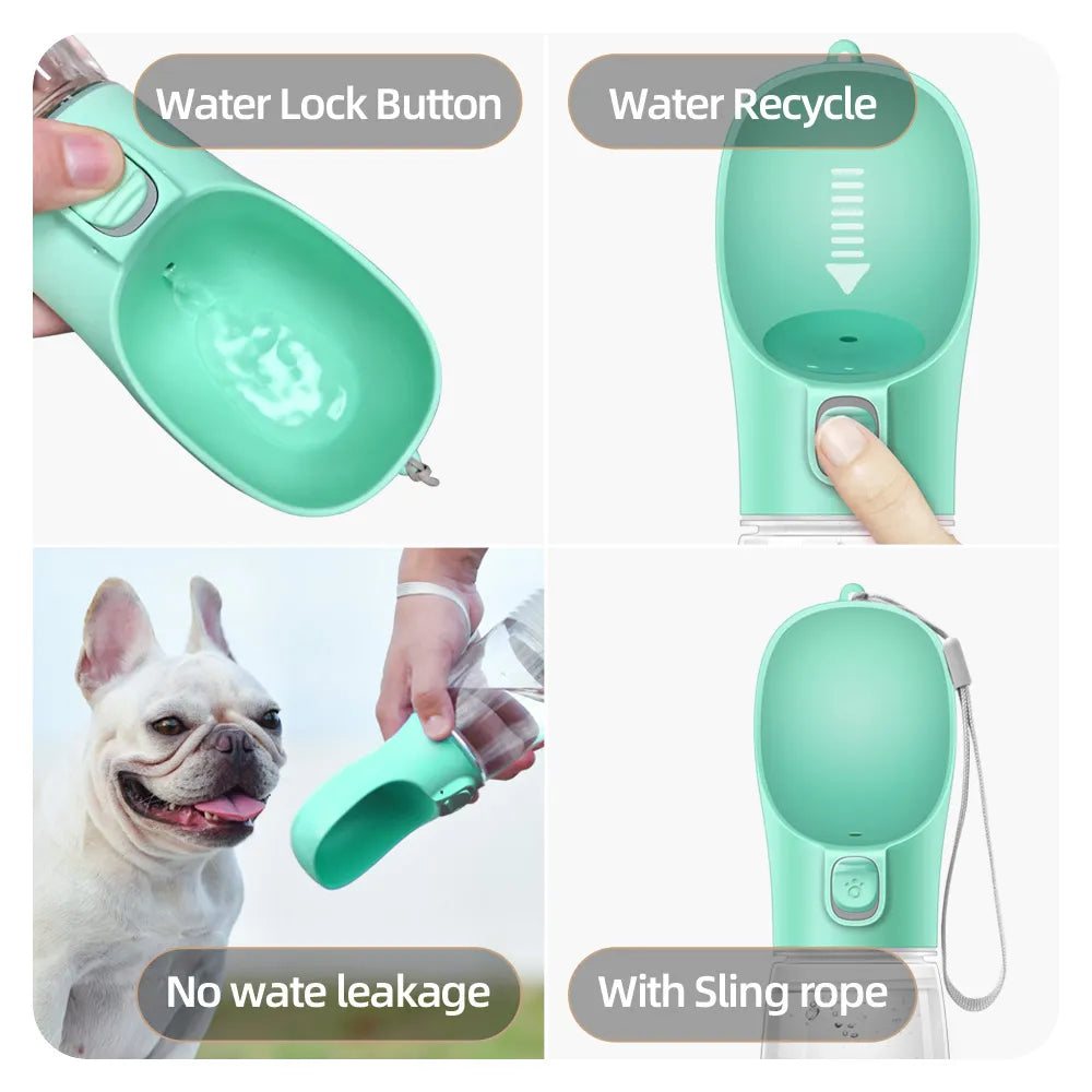 Bouteille d'eau portative pour chien