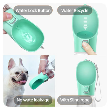 Bouteille d'eau portative pour chien