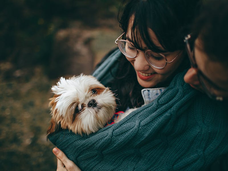 A young puppy meeting another dog in a safe outdoor environment with its owner nearby